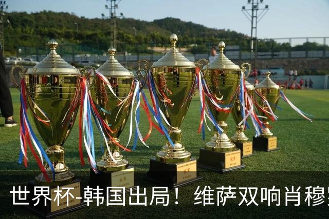 世界杯-韩国出局！维萨双响肖穆罗多夫神仙球 民主刚果3-1乌兹
