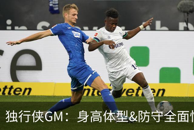 独行侠GM：身高体型&防守全面性是选择球员的首要目标