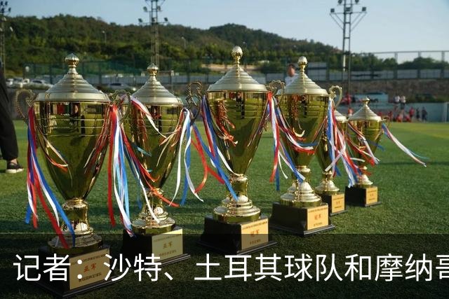 记者：沙特、土耳其球队和摩纳哥有意卢卡库，球员也可能1月离队